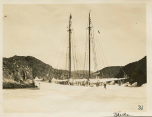 Image of Bowdoin against pan of ice
